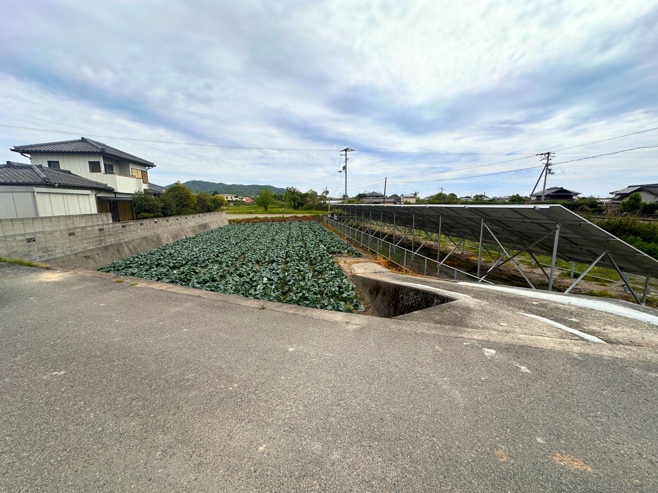 家庭菜園では少し物足りなくなってきた方へ