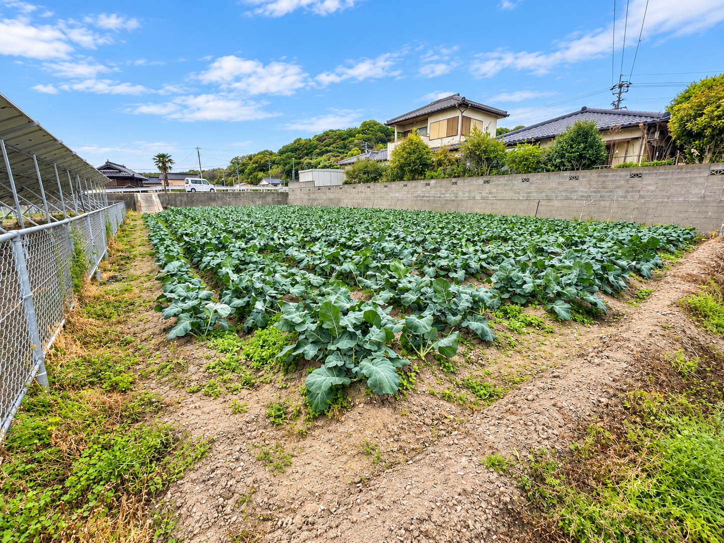 家庭菜園では少し物足りなくなってきた方へ